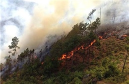 Khẩn trương dập cháy rừng tại Nam Lộc, Nghệ An 